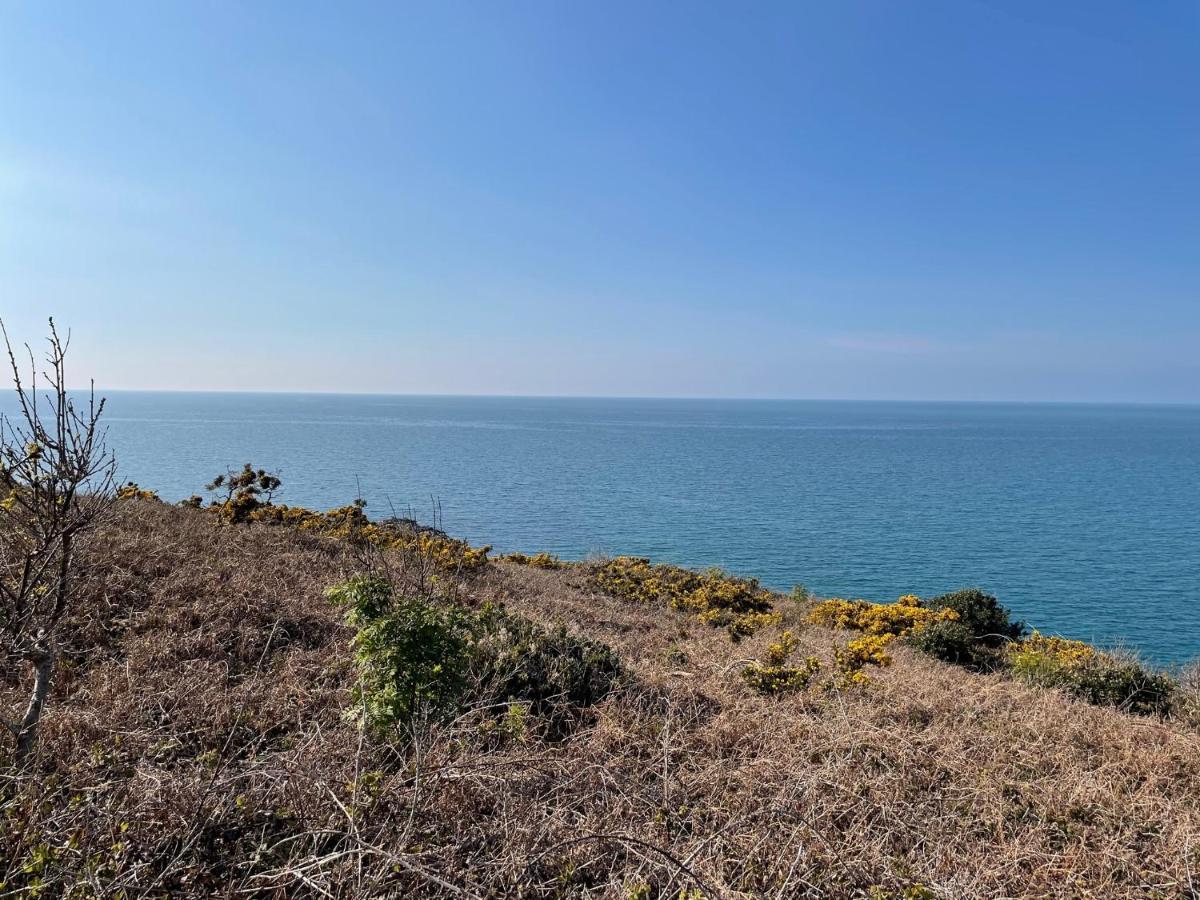 Au Petit Brick - Cosy Beachfront House Maupertus-sur-Mer المظهر الخارجي الصورة